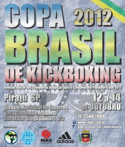 Copa Brasil 2012