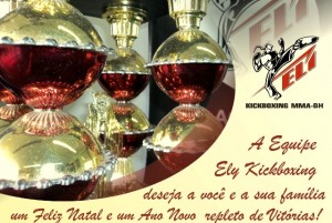 Feliz Natal e 2013!